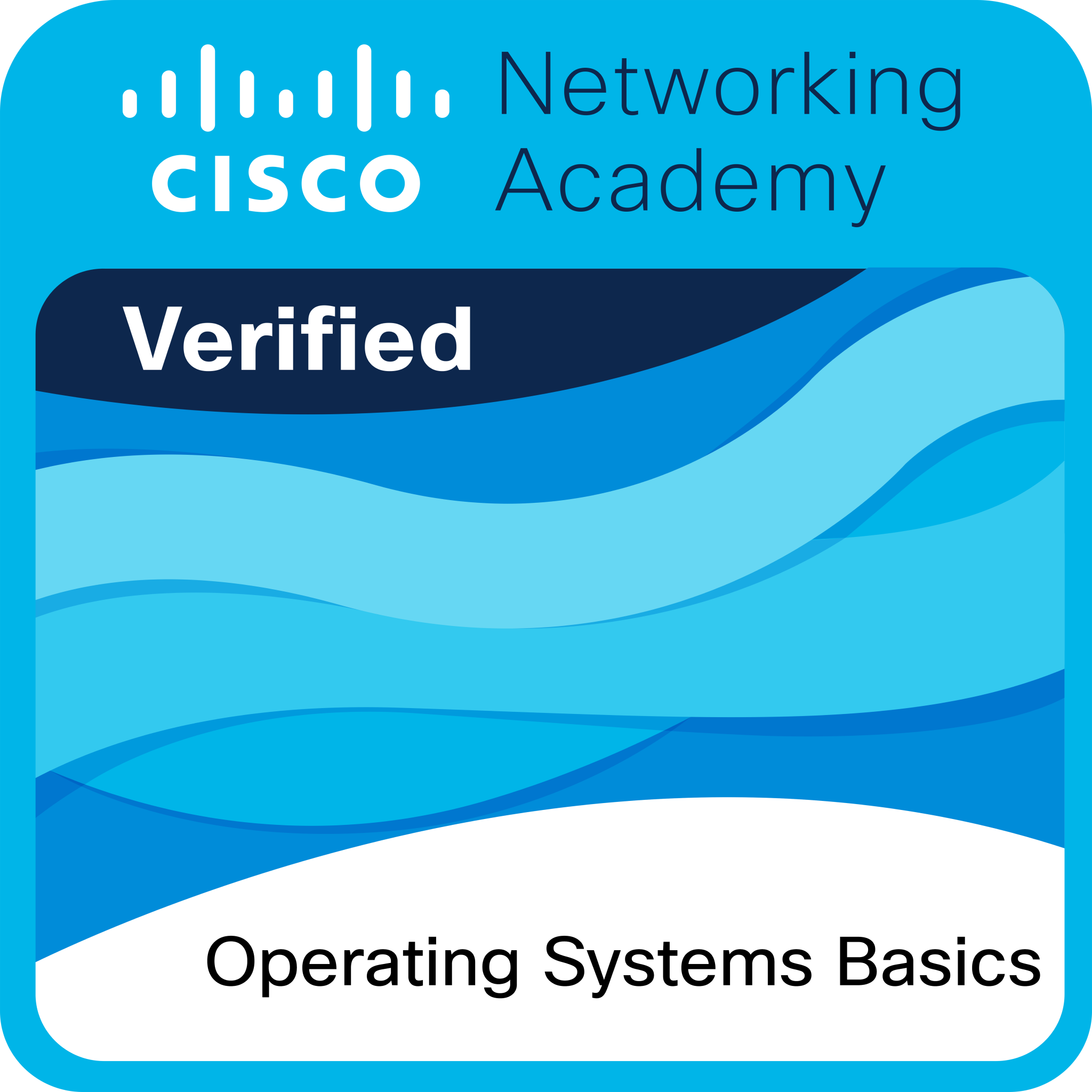 Operating Systems Basics